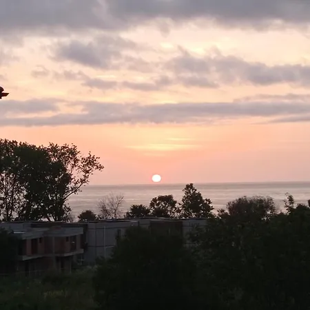 Lily Beach - Sunrise Over The Sea - *