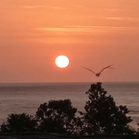 Lily Beach - Sunrise Over The Sea - Sozopol