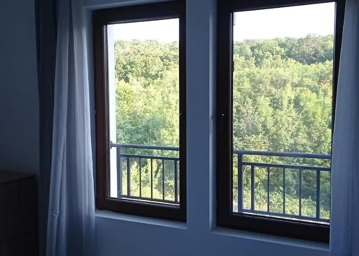 Lily - Sun Over The Forest -