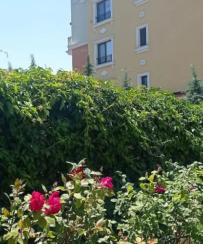 Apartment Lily - Sun Over The Forest - Sozopol