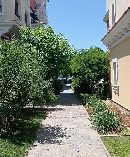 Apartment Lily - Sun Over The Forest - *