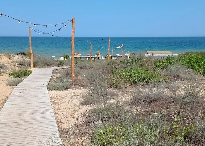 Lily - Sun Over The Forest -