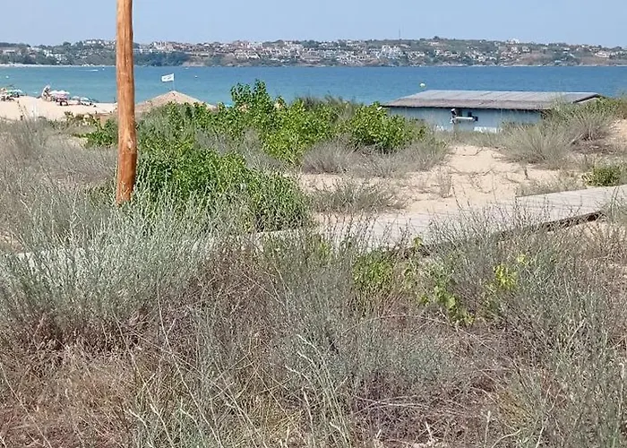 Lily - Sun Over The Forest - Apartment *