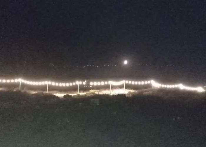 Apartment Lily - Sun Over The Forest -