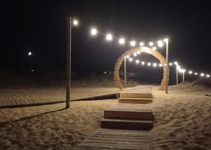 Lily - Sun Over The Forest - *