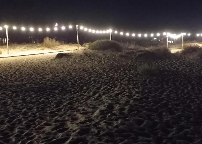 Lily - Sun Over The Forest - Apartment