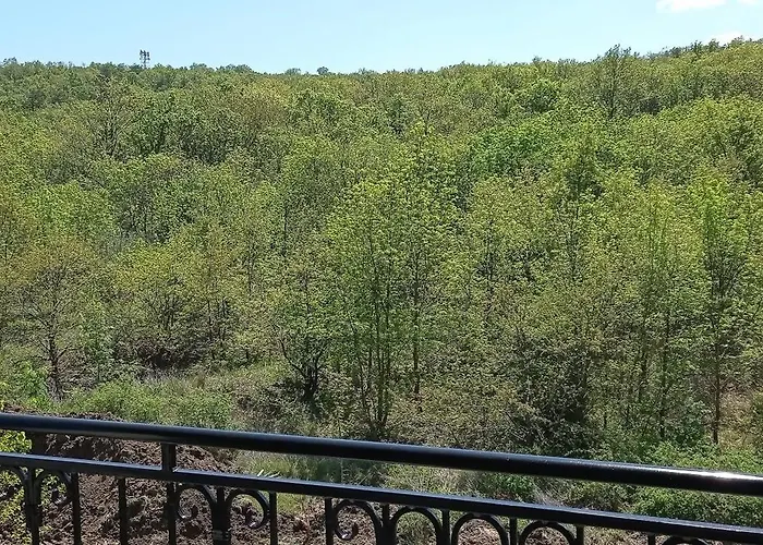 Apartment Lily - Sun Over The Forest - Sozopol