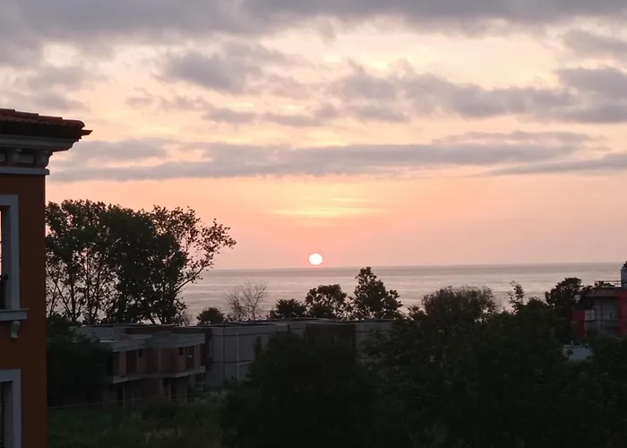 Lily - Sun Over The Forest - *